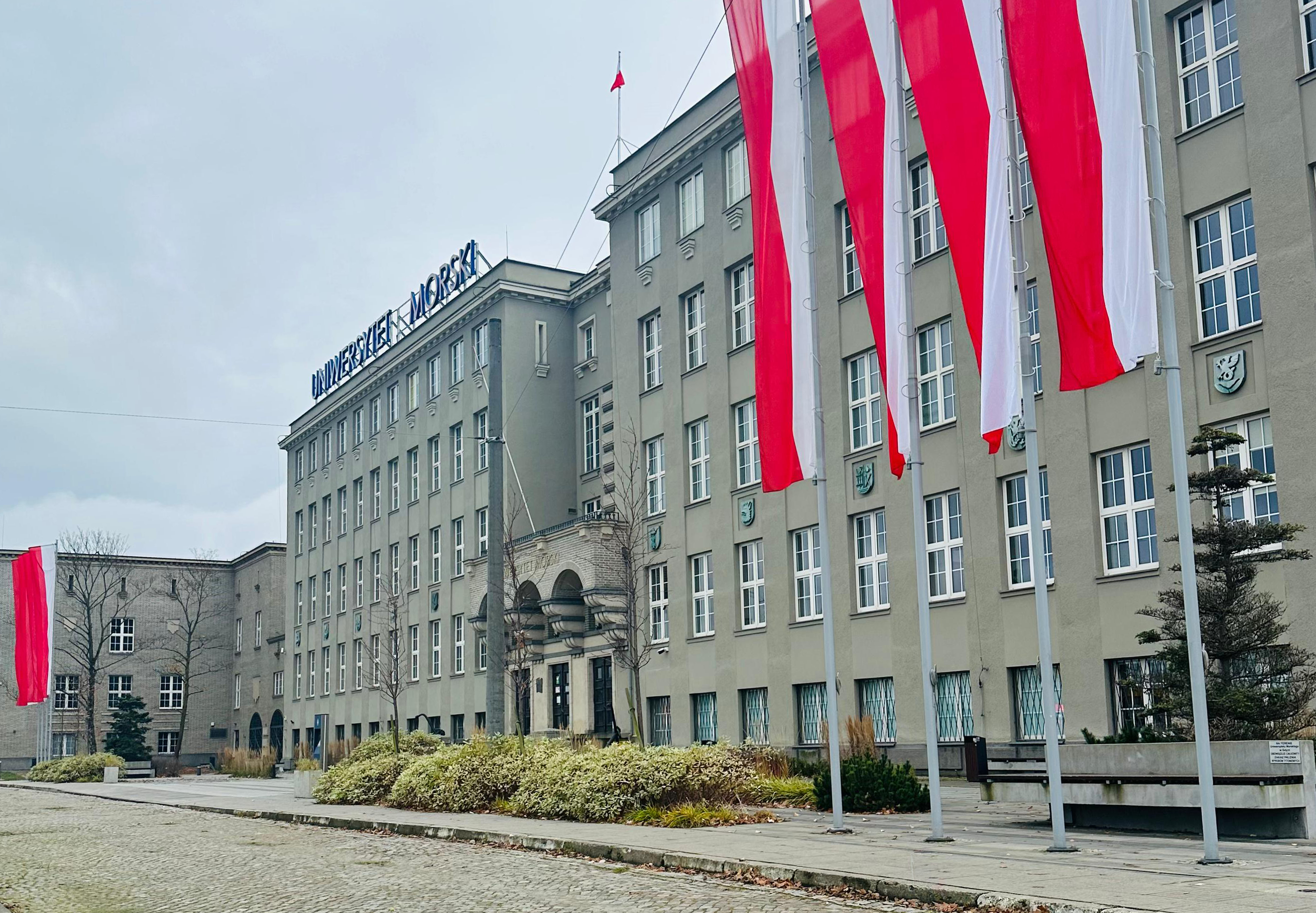 Main screen background