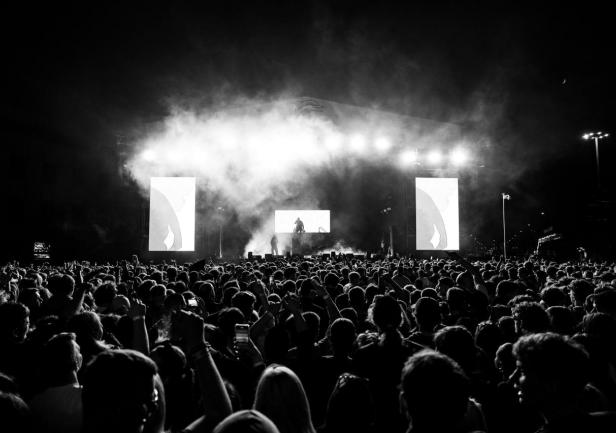 Otsochodzi. Fot. Klaudia Piwek