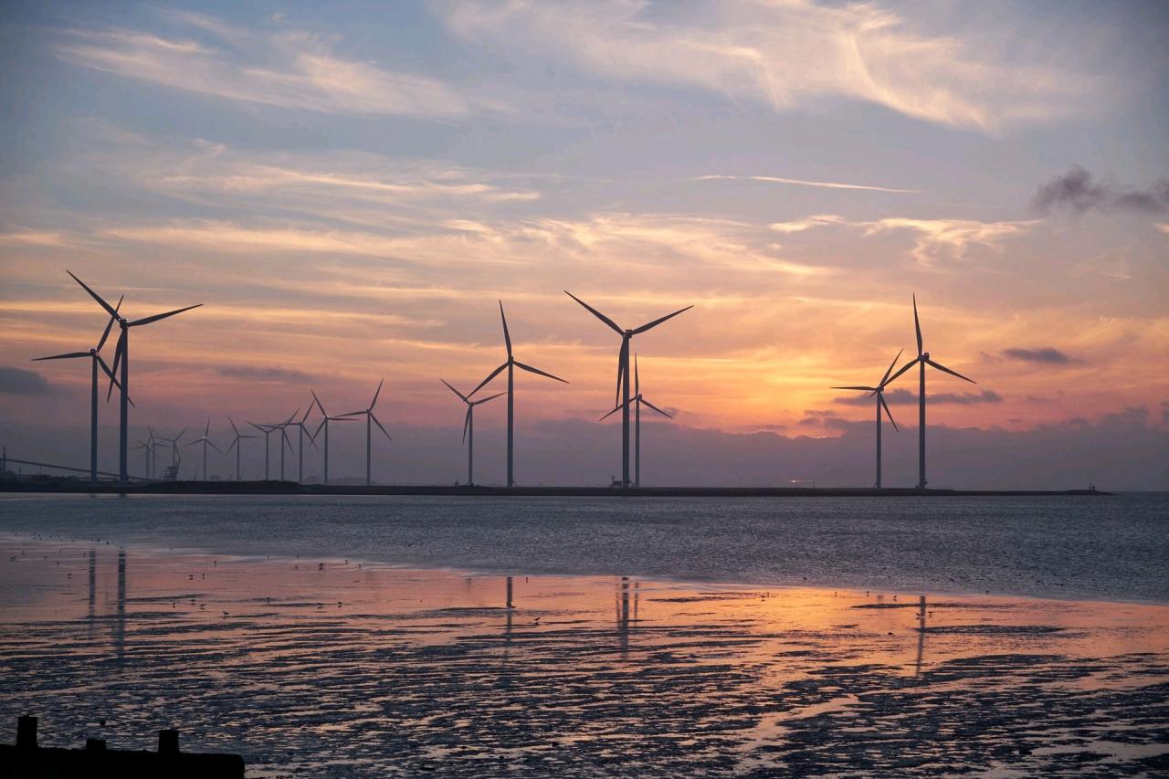 Executive Offshore Wind MBA Executive Offshore Wind MBA; CMEW; morska energetyka wiatrowa