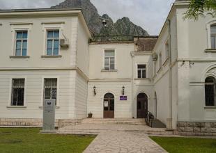 UCG university in Kotor