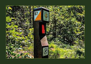 Otwieramy \"Zielony Punkt Kontrolny &ndash; Uniwersytet Morski w Gdyni\"