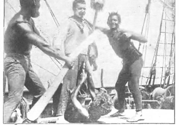 95 lat temu na \"Lwowie\"