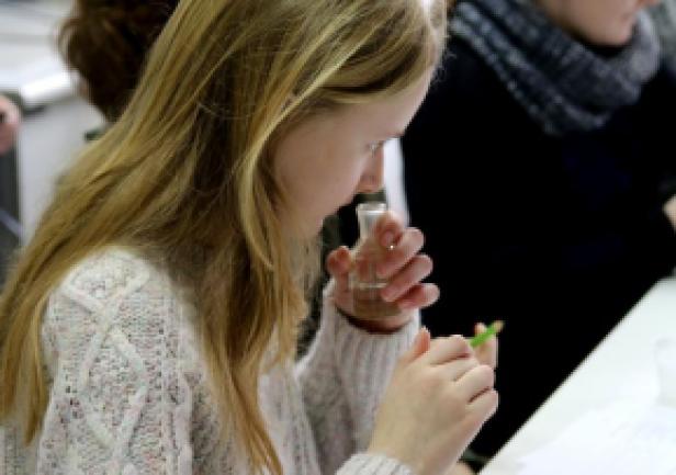 Wizyta uczni&oacute;w w AMG, fot. Magdalena Zajk